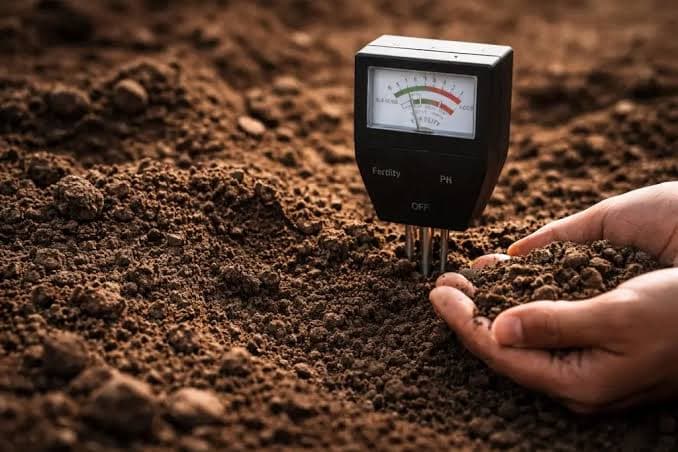 Soil Testing Services