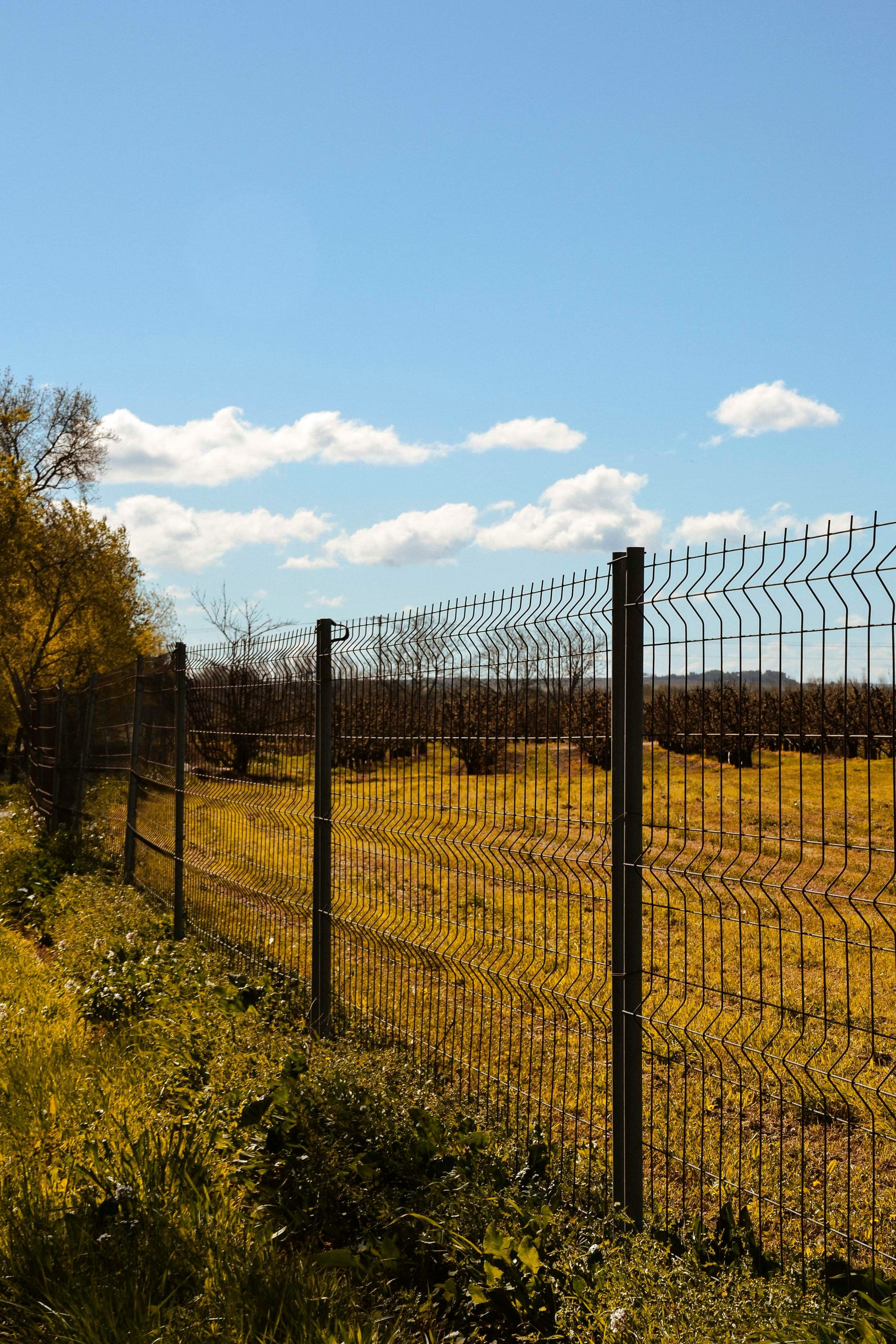 Fencing Services