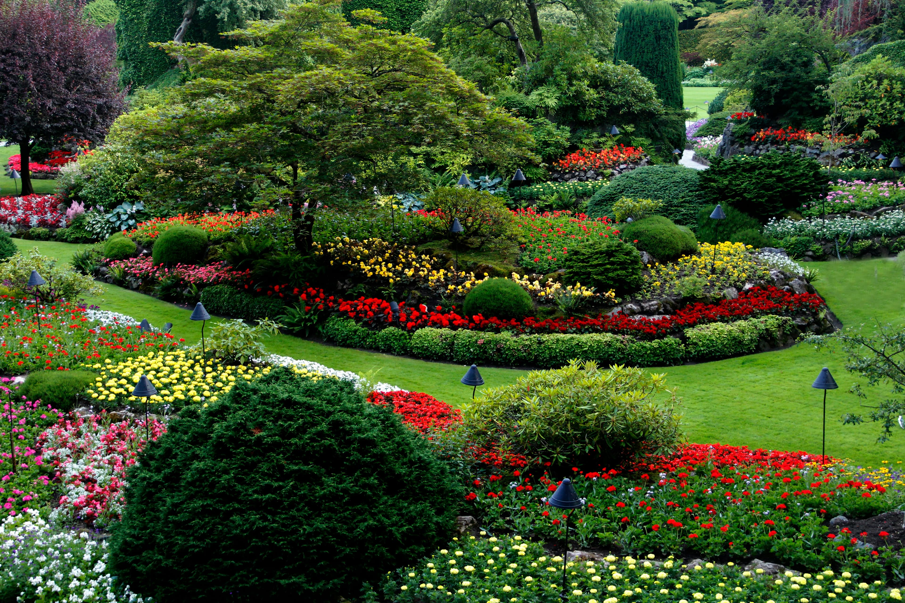 Gardening & Landscaping Services
