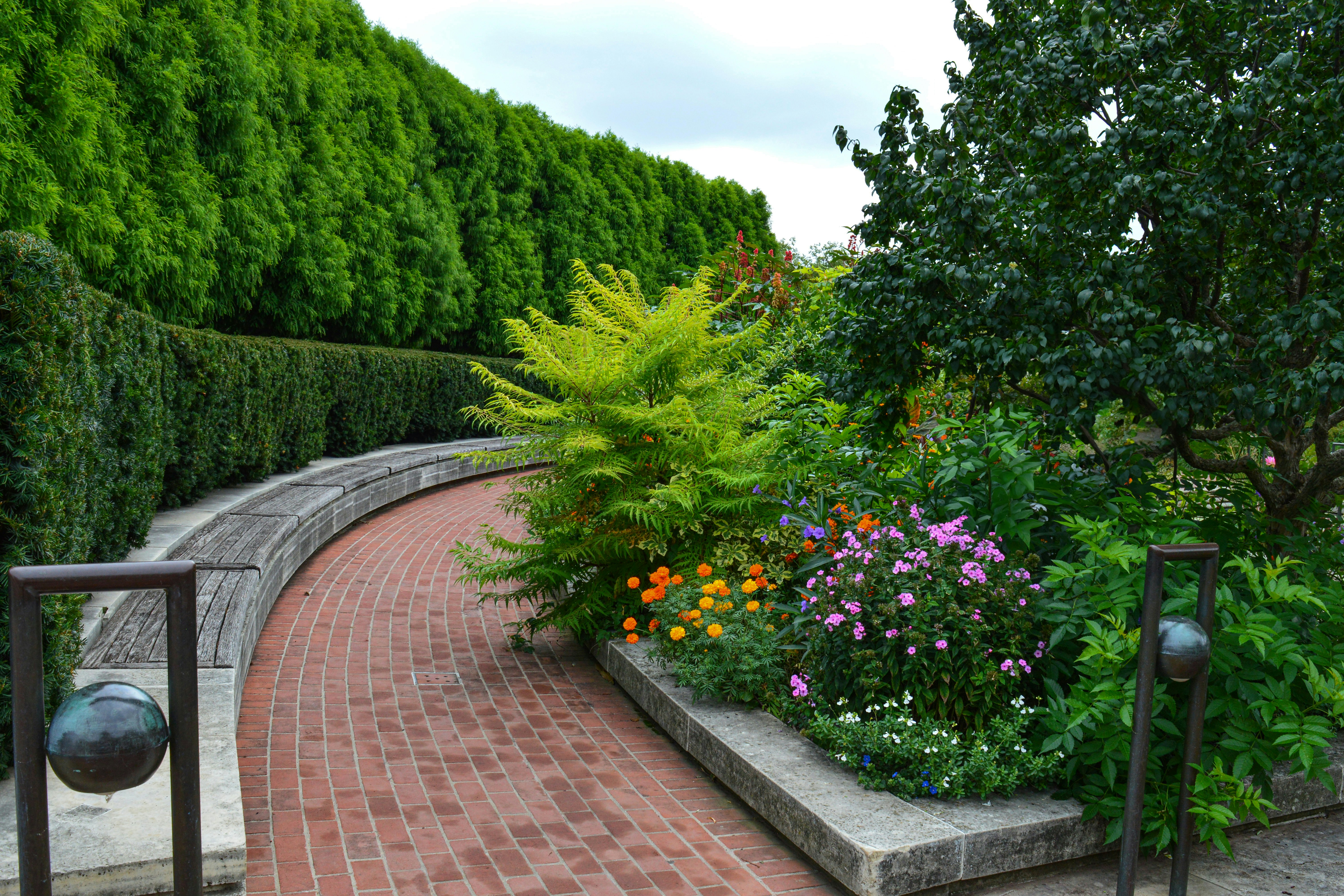 Landscaping Project