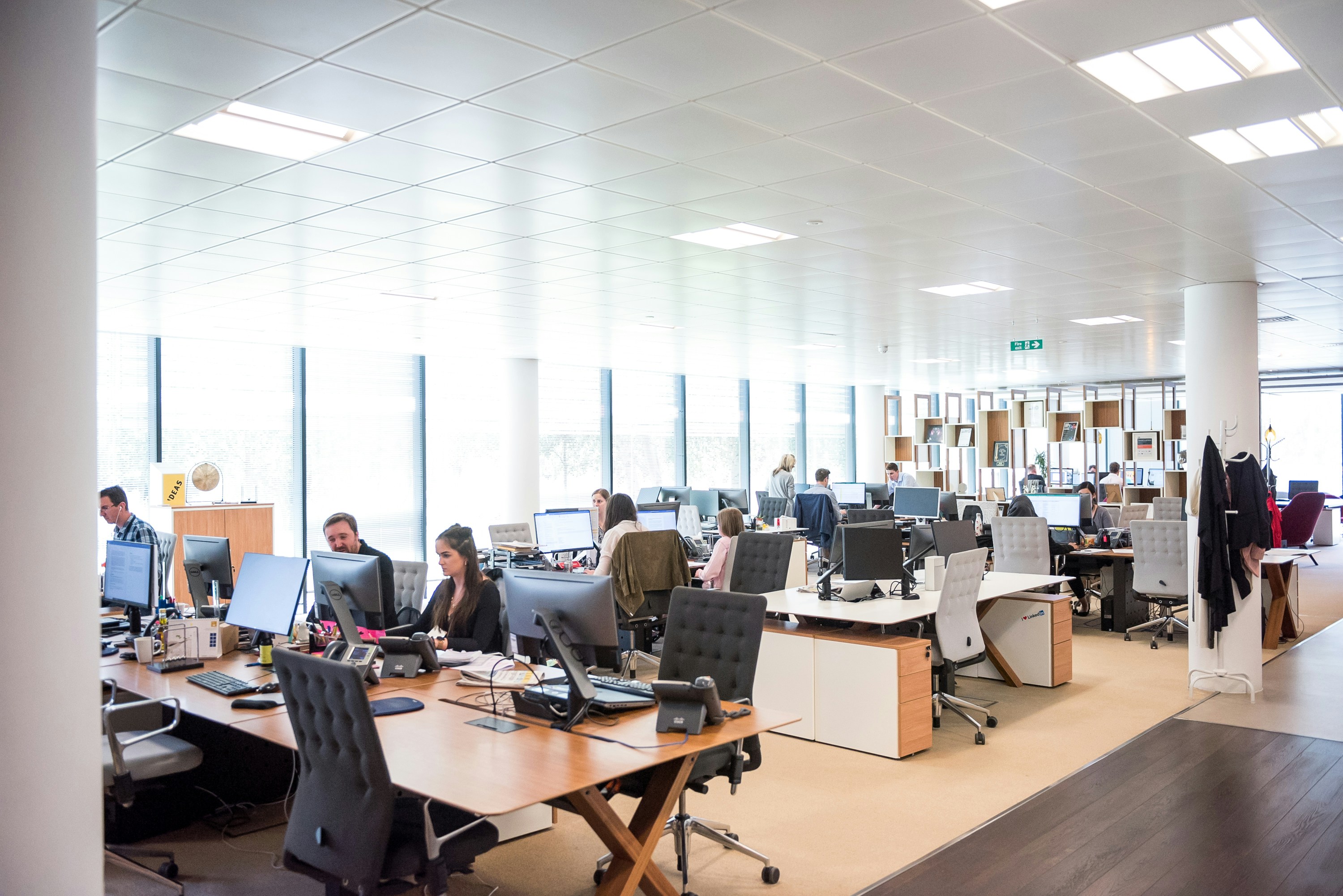 Office Development